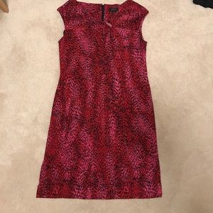 Tahari pink red animal print silky/stretchy dress